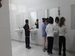 Evrensel Kolej